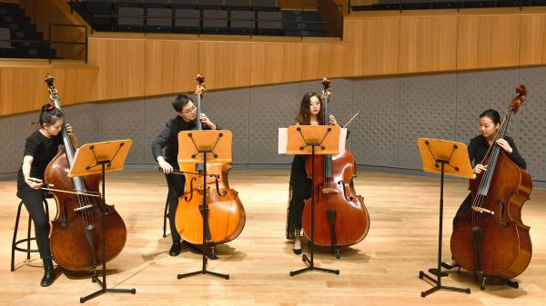 Double bass.jpg