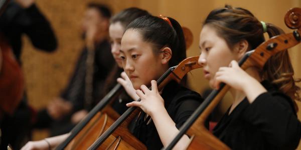 Cello players in an orchestra