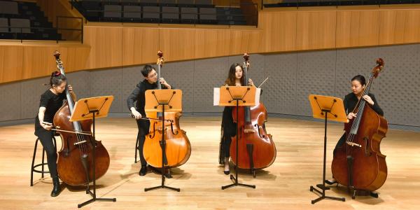 Double bass.jpg