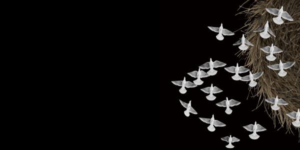 Festival Connect 2024: Messiaen and His Legacy